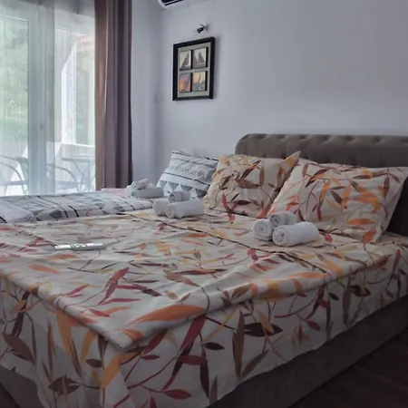 Apartment Mata Banja Vrujci *